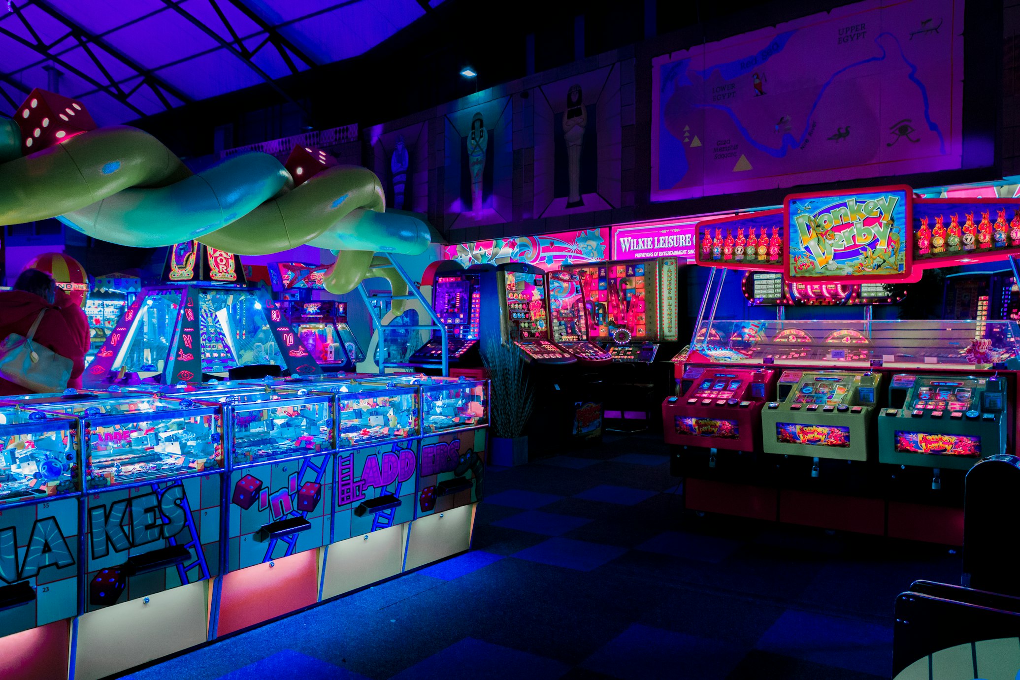 体育数据案例